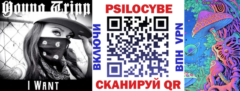 магазин наркотиков Гаврилов-Ям Псилоцибиновые грибы мицелий